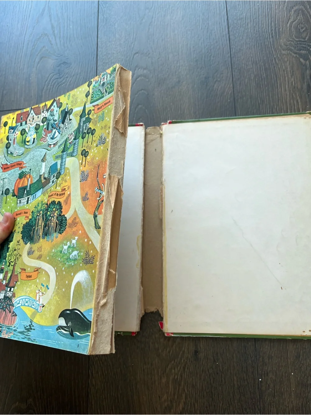 Vintage 1965 The Wonderful Worlds of Walt Disney Children's Book Set